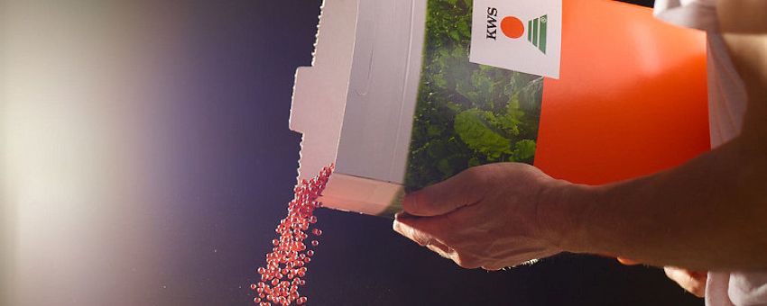 Компания KWS приступает к строительству предприятия на Елецком участке ОЭЗ «Липецк»