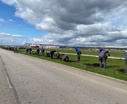 Субботник ОЭЗ «Липецк» объединил более 100 сотрудников экономзоны